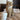 Cozy scene featuring a cat beside a coffee mug and pillowcases showcasing romantic gifts for cat lovers
