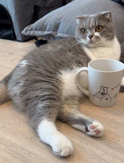 i-meow-you-cat-lovers-mug