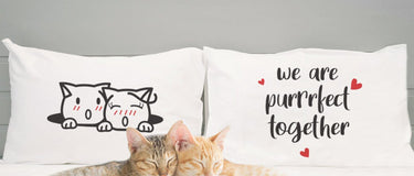 When Love Comes with a Purr: The Cozy World of Cat-Loving Couples