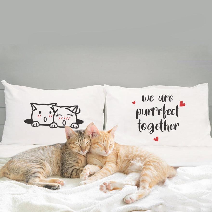 When Love Comes with a Purr: The Cozy World of Cat-Loving Couples
